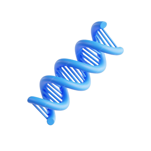 DNA